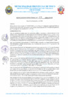 Vista preliminar de documento R.D. Nº 356-2024-MPP-OGAF
