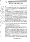 Vista preliminar de documento R.D. N°0278-2025-DIRESA-OGESS-HC