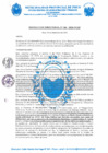 Vista preliminar de documento R.D. Nº 368-2024-MPP-OGAF