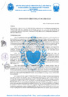 Vista preliminar de documento R.D. Nº 369-2024-MPP-OGAF