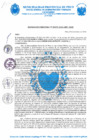 Vista preliminar de documento R.D. Nº 373-2024-MPP-OGAF