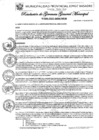 Vista preliminar de documento Nº 096-2025
