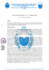 Vista preliminar de documento R.D. Nº 381-2024-MPP-OGAF