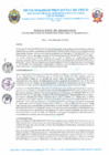 Vista preliminar de documento R.D. Nº 383-2024-MPP-OGAF