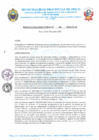 Vista preliminar de documento R.D. Nº 388-2024-MPP-OGAF