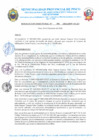 Vista preliminar de documento R.D. Nº 390-2024-MPP-OGAF