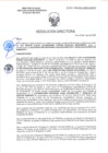 Vista preliminar de documento RD-2022-2025-DSAIA-DIRIS-LE-MINSA