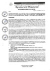 Vista preliminar de documento R.D. N°0290-2025-DIRESA-OGESS-HC