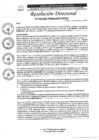 Vista preliminar de documento R.D. N°0293-2025-DIRESA-OGESS-HC
