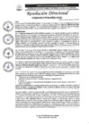 Vista preliminar de documento R.D. N°0294-2025-DIRESA-OGESS-HC