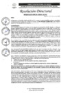 Vista preliminar de documento R.D. N°0296-2025-DIRESA-OGESS-HC
