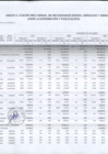 Vista preliminar de documento ANEXO 4_CUADRO MULTIANUA DE NECESIDADES