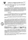 Vista preliminar de documento rgr-112-2025-gore-ica-graf