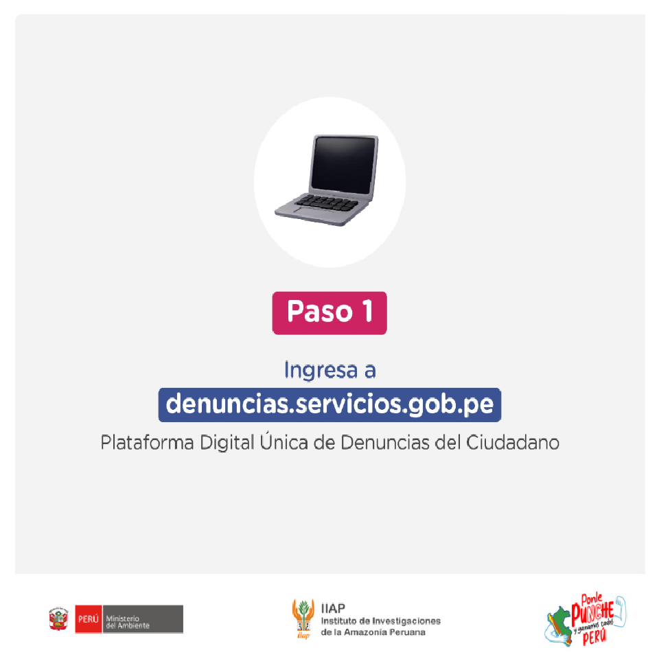 Paso 1