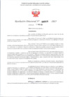 Vista preliminar de documento RD 618-2025 - CONTRA DOC - TORRE RODRIGUEZ JOSELYN BLANCA