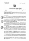 Vista preliminar de documento RD N°115-2025-DG-HNHU