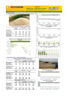 Vista preliminar de documento Boletín de abastecimiento y precio del ARROZ - 12/05/2025
