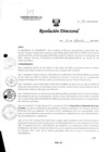 Vista preliminar de documento R.D. 916-2024
