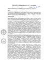 Vista preliminar de documento RGM N°223-2025