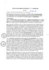Vista preliminar de documento RGM N°234-2025