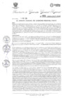 Vista preliminar de documento Resolución Gerencia General N° 21-2025
