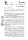 Vista preliminar de documento Resolución Gerencia General N° 24-2025