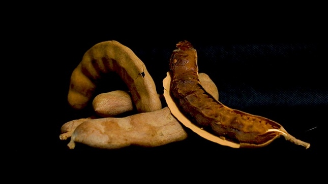 Conoce los beneficios del tamarindo para la digestión y la salud metabólica