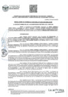 Vista preliminar de documento Resolucion GM N°238-2025-MDLM