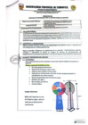 Vista preliminar de documento TDR N 1511
