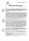 Vista preliminar de documento RD N° 80-2025-DG-INSM