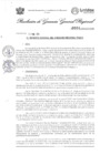 Vista preliminar de documento Resolución Gerencia General N° 004-2025