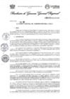 Vista preliminar de documento Resolución Gerencia General N° 005-2025