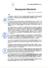 Vista preliminar de documento RD N° 81-2025-DG-INSM