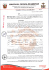 Vista preliminar de documento 085-2025RG-GAT