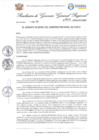 Vista preliminar de documento Resolución Gerencia General N° 14-2025