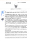 Vista preliminar de documento RD-2049-2025-DSAIA-DIRIS-LE-MINSA