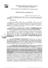 Vista preliminar de documento GDE-176-2025