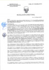 Vista preliminar de documento RD-2064-2025-DSAIA-DIRIS-LE-MINSA