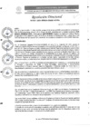 Vista preliminar de documento R.D. N°0311-2025-DIRESA-OGESS-HC
