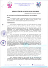 Vista preliminar de documento R2023-346