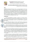 Vista preliminar de documento GDU-135-2025