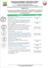 Vista preliminar de documento Anexos del Decreto de Alcaldía Nº002-2025