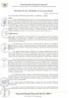 Vista preliminar de documento RA_121_2025_MDI