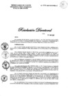 Vista preliminar de documento RD N° 213-2021-DG-DIRIS-LC