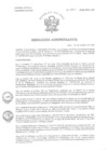 Vista preliminar de documento R.A. N°295-2025-HNAL-OP
