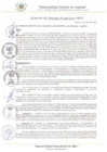 Vista preliminar de documento AC_048_2025_MDI