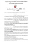 Vista preliminar de documento RD 656-2025 - LCG - VILLANUEVA VERGARA ELVIS JHON