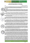 Vista preliminar de documento RGM-273-2025-GM-MPLC