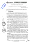 Vista preliminar de documento RES.RECT. N° 0357-2025-UNHEVAL
