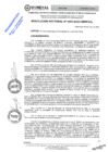 Vista preliminar de documento RES.RECT. N° 0403-2025-UNHEVAL